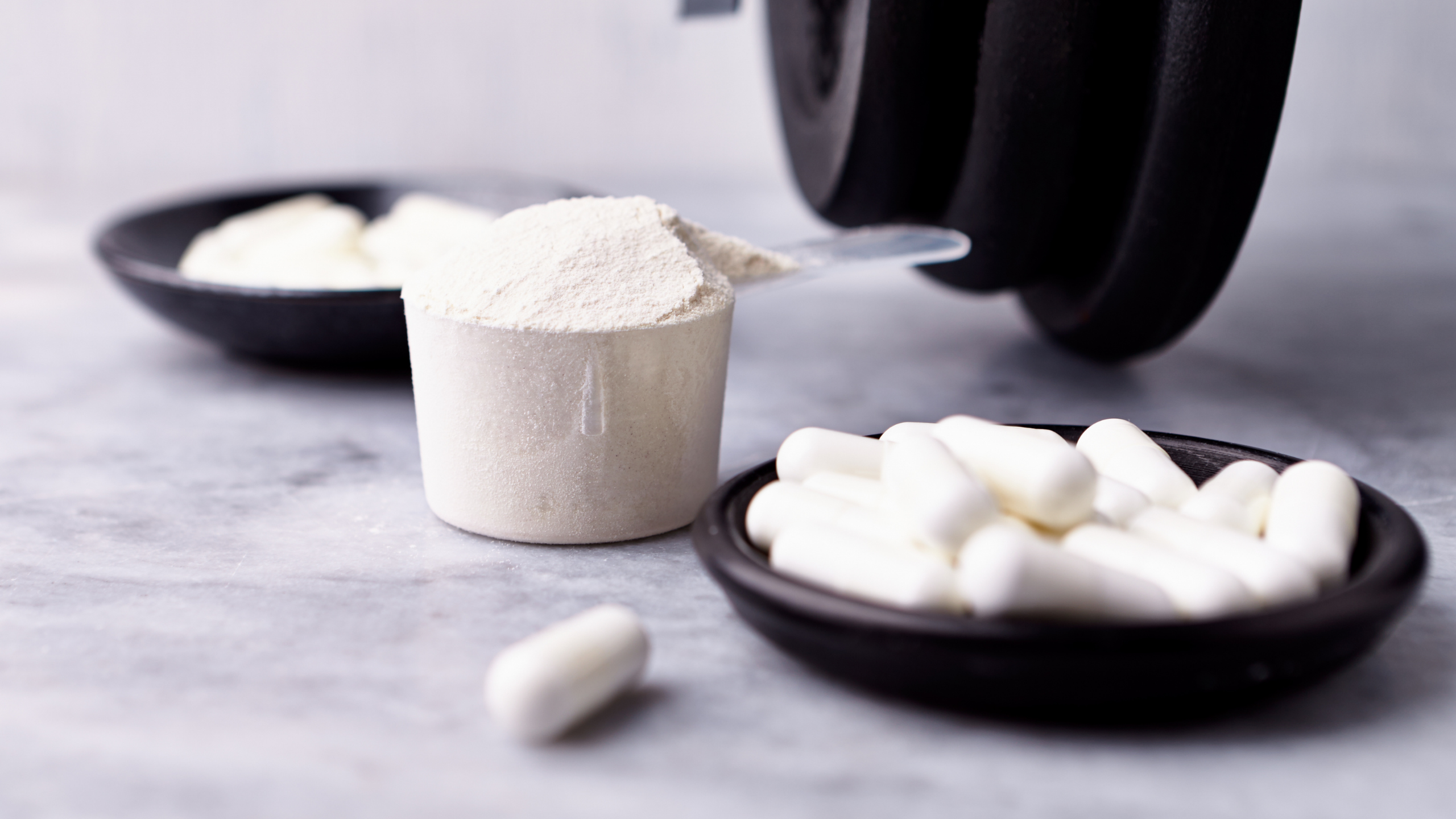 creatine supplements and protein powder