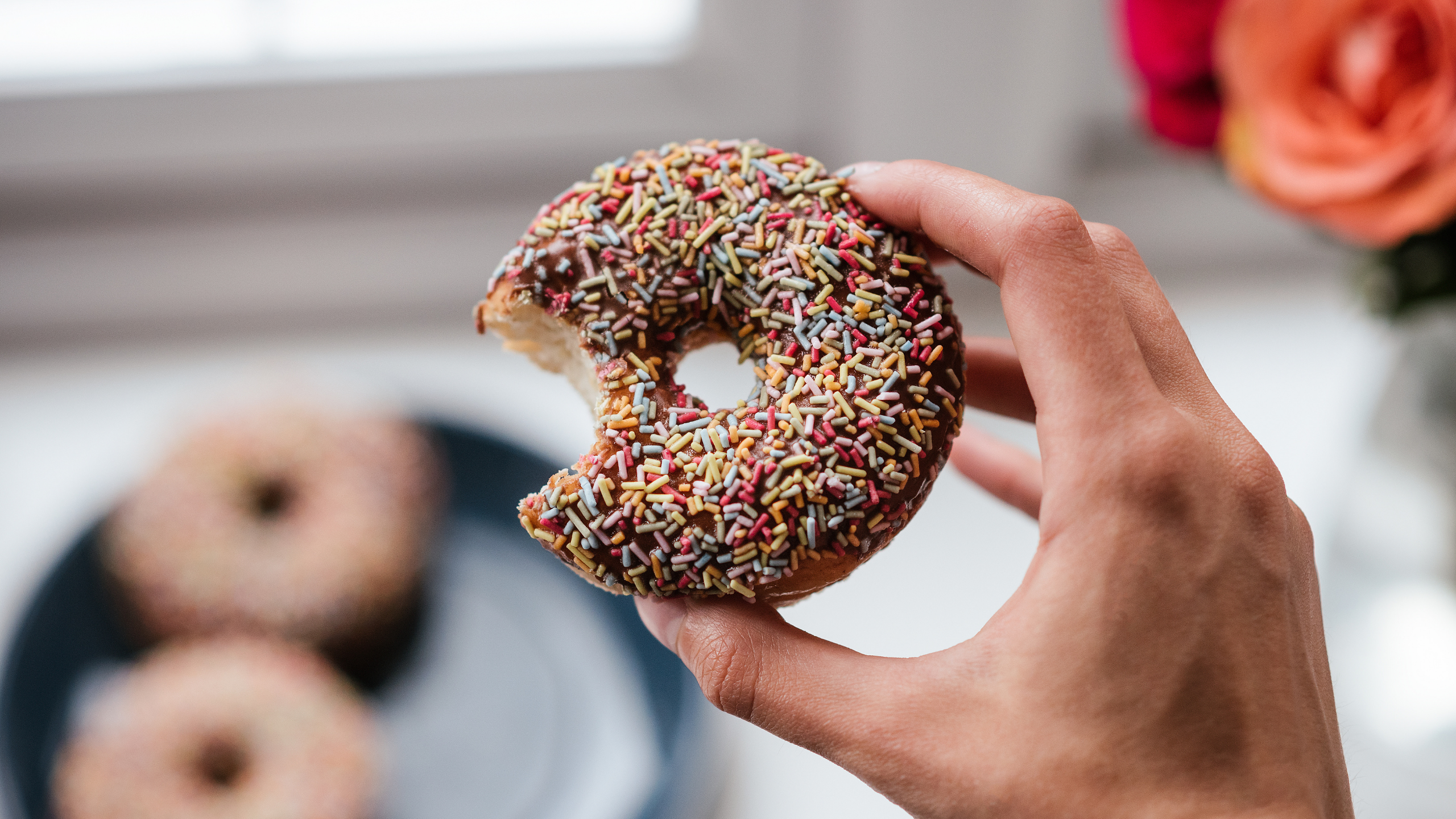 chocolate donut with sprinkles
