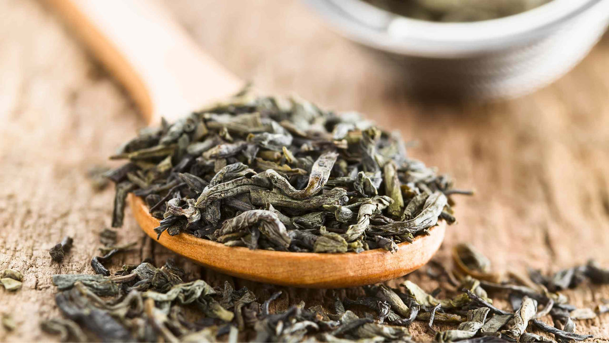 Everything you need to know about green tea extract suppleme – Elo Health