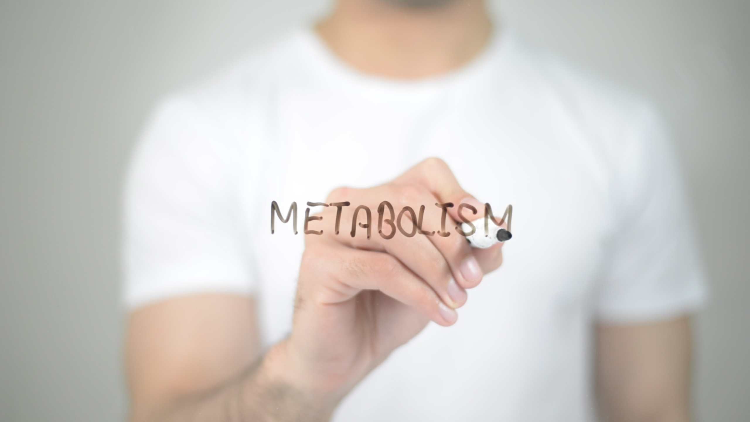 man writing the word metabolism on screen