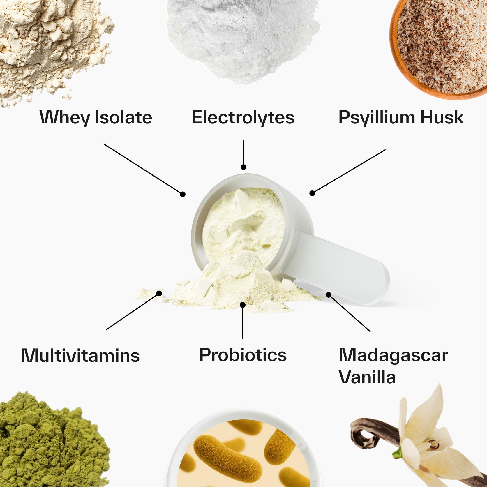 Metabolism Protein