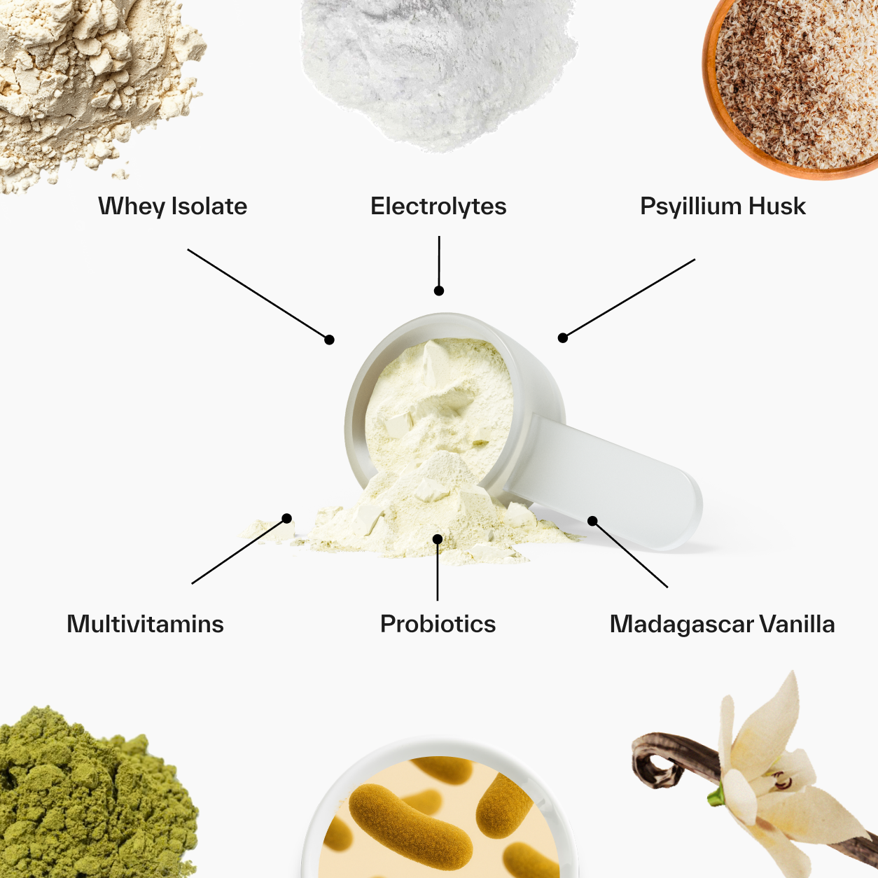 Metabolism Protein