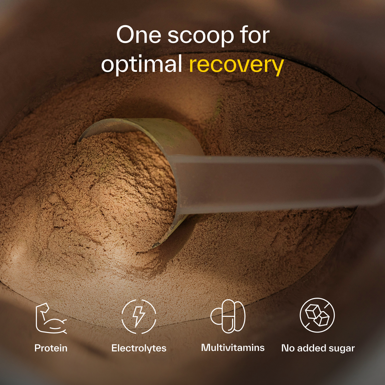 Recovery Protein